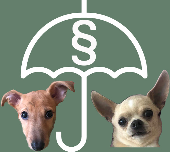 paragraf zwierzoochronny